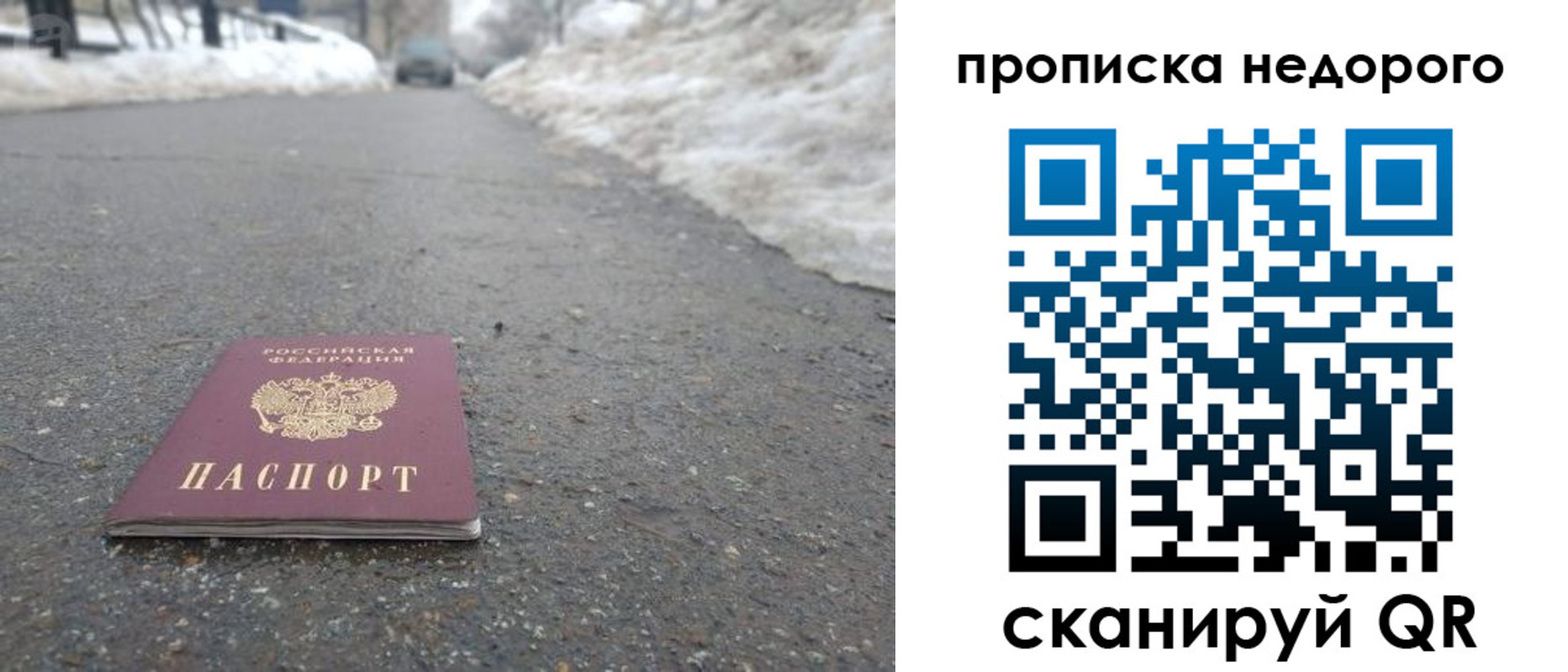 прописка в Курской области