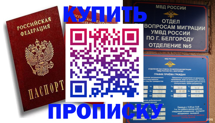 прописка иностранных граждан в Курской области